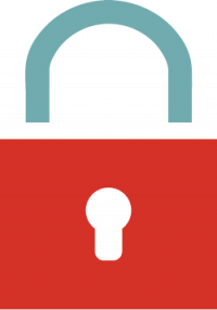 security-icon